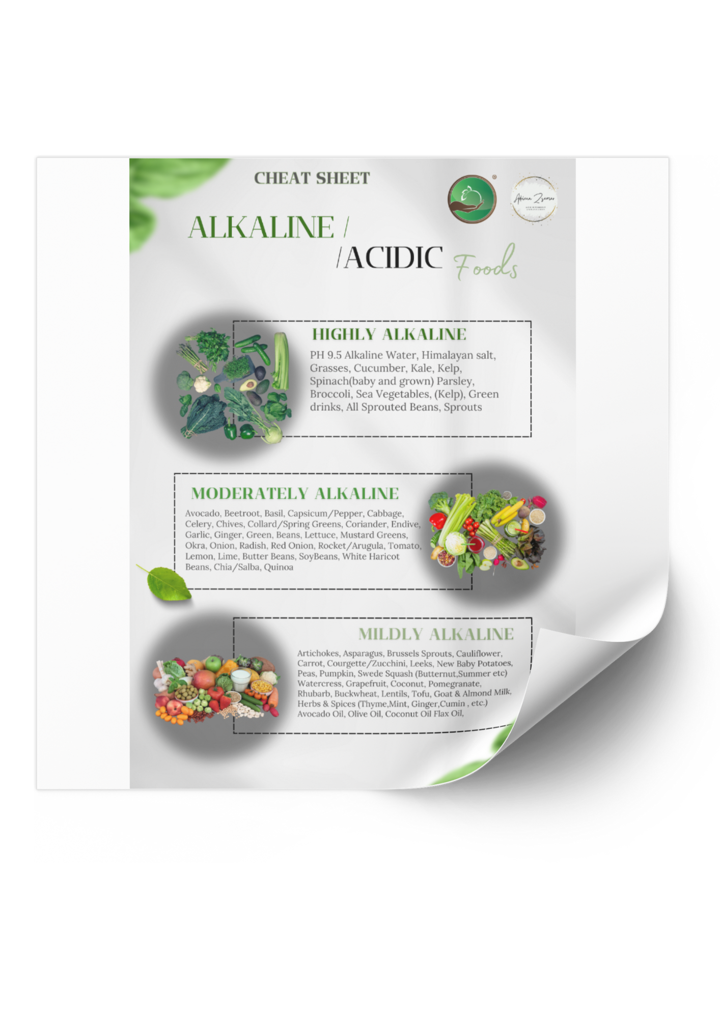 10 Days Detox & Full Body Reset (Third Edition)