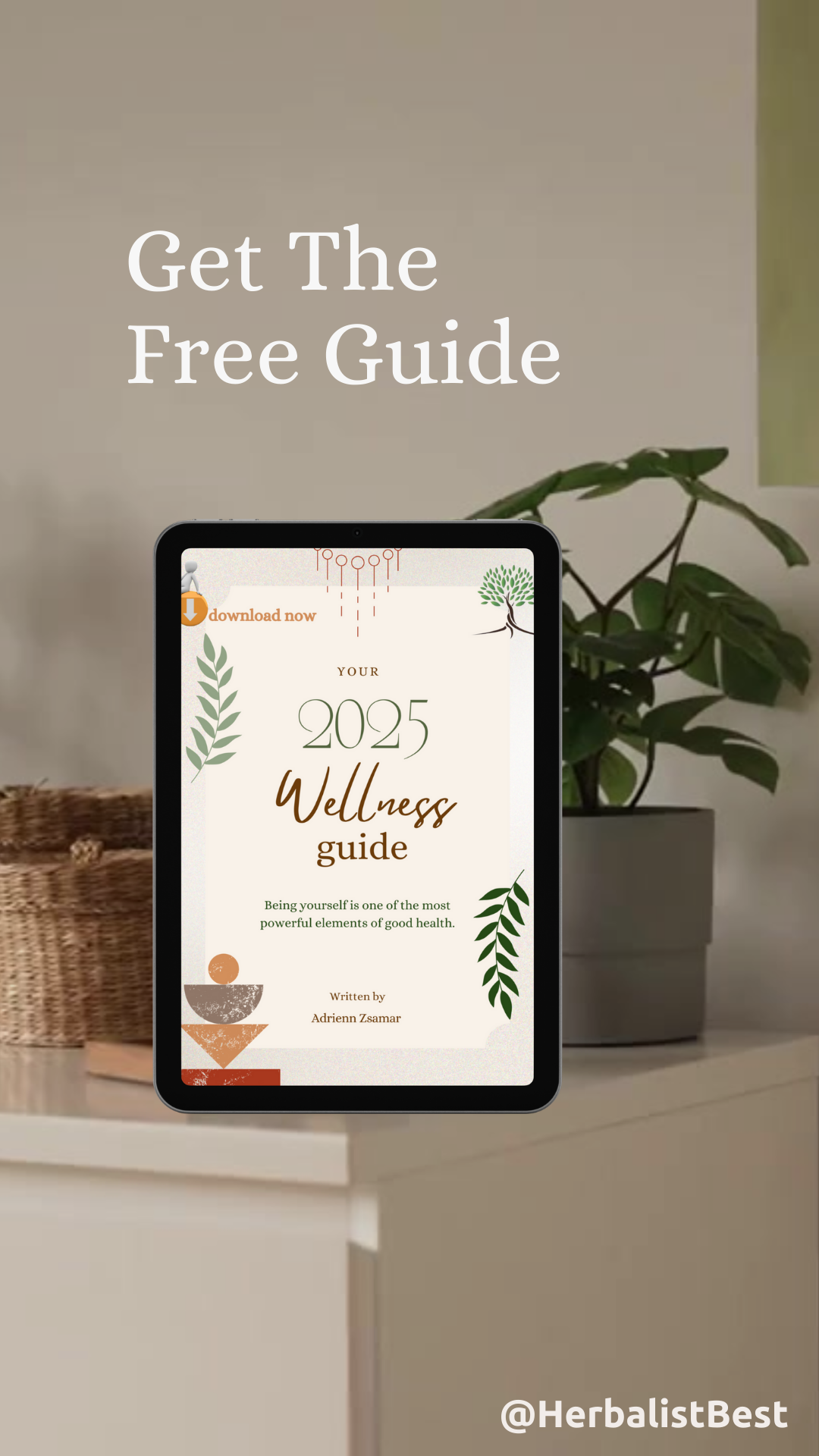 Wellness Guide 2025