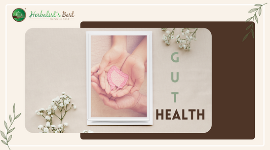 Gut Health-Top 5 habits and herbs for optimal digestive system performance.