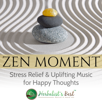 Zen moments music 1 hour